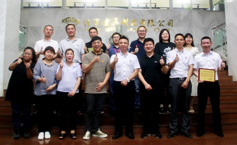 優化管理，高效增長：中山佳寧皮具制品有限公司系統管理升級項目取得圓滿成功