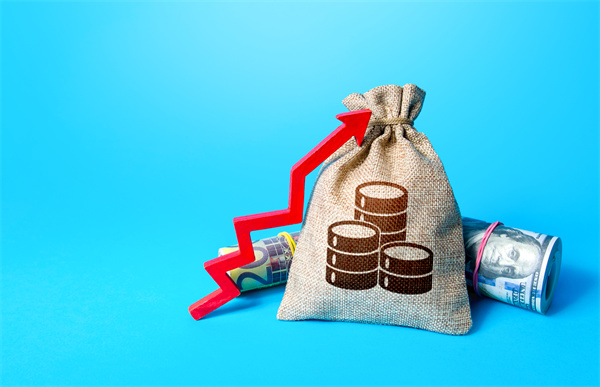 「預算管理咨詢」如何在不同階段制定不同的預算計劃？