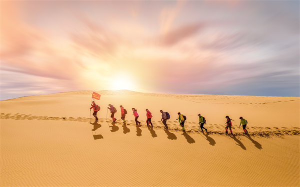 風險防范：構建全面風險管理體系，保障企業穩健發展