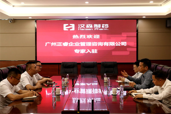 湖南漢森制藥股份有限公司精益營(yíng)銷(xiāo)管理升級(jí)項(xiàng)目啟動(dòng)