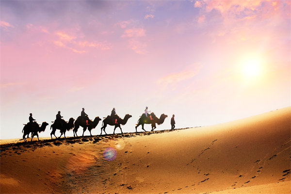 企業(yè)文化在人力資源管理中，扮演著怎樣的角色？