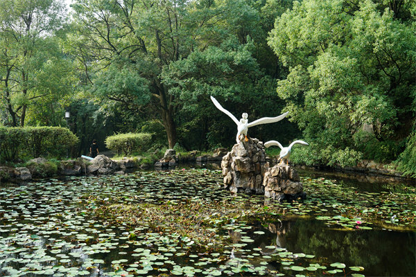 如何挑選適合株洲企業的專業管理咨詢公司？