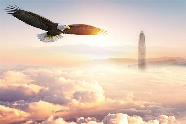 企業文化與企業管理如何協同，推動企業持續發展？