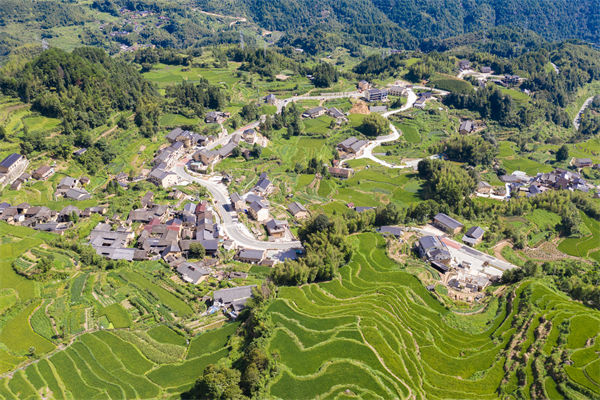 麗水人力資源咨詢公司如何優化企業人才布局？