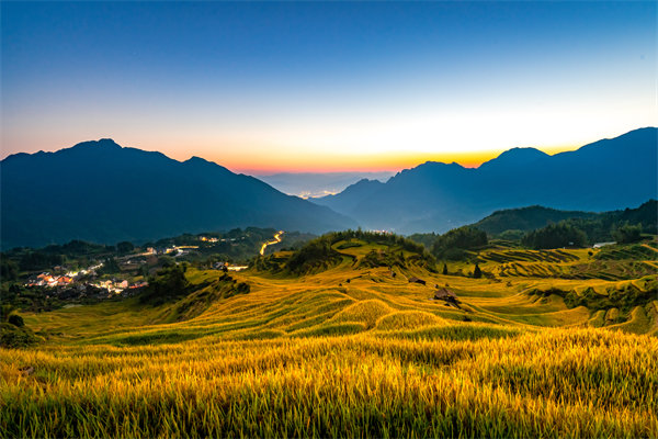 麗水組織規劃咨詢公司如何為企業構建高效組織架構？