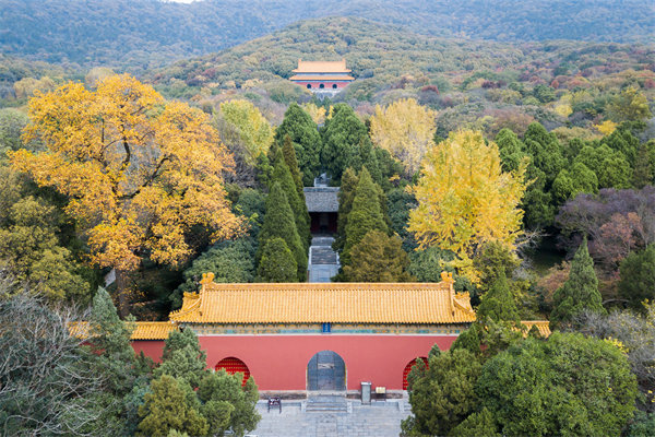 南京供應鏈咨詢公司如何優化企業供應鏈流程？