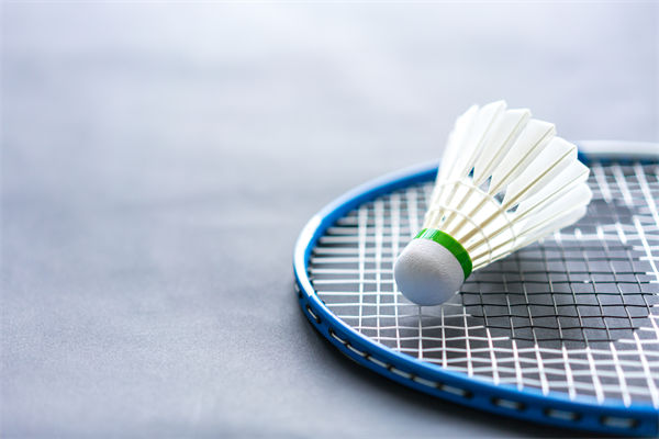 從營(yíng)銷方面分析羽毛球價(jià)格2年上漲100%比黃金還猛