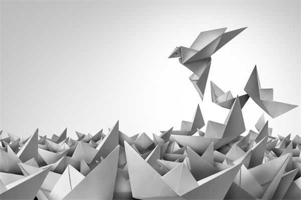 變革期文化斷層，如何用管理體系凝聚團隊共識？