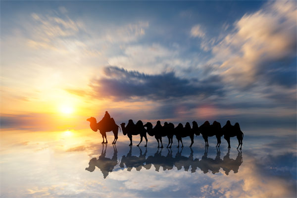 戰(zhàn)略與文化脫節(jié)，企業(yè)理念如何落地支撐發(fā)展？