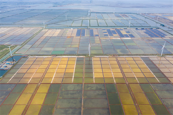 濰坊集團子公司失控內耗嚴重，濰坊集團管控咨詢公司如何重構權責體系？