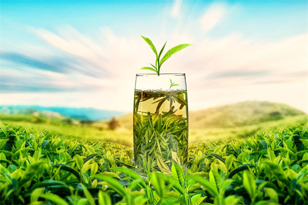 供應鏈管理分析：多個奶茶品牌回應檢出反式脂肪酸