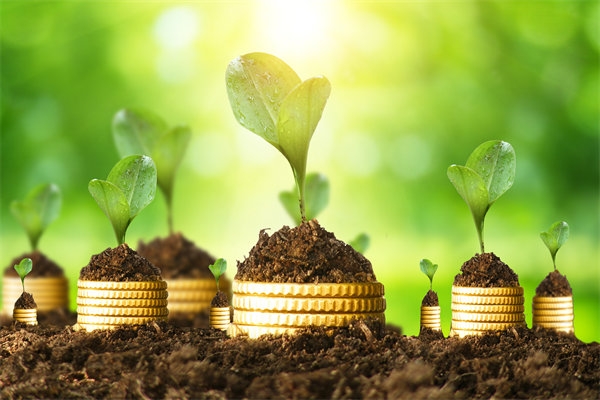 預(yù)算管理咨詢公司如何幫助企業(yè)破解資金錯(cuò)配問題？