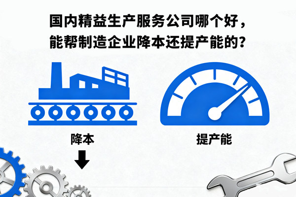 國內精益生產服務公司哪個好，能幫制造企業降本還提產能的？